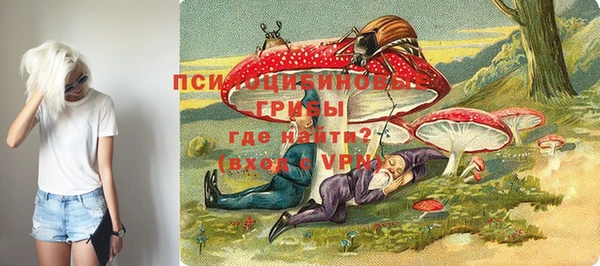 бошки Алзамай
