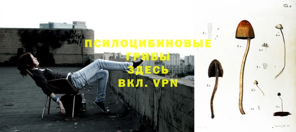 бошки Алзамай