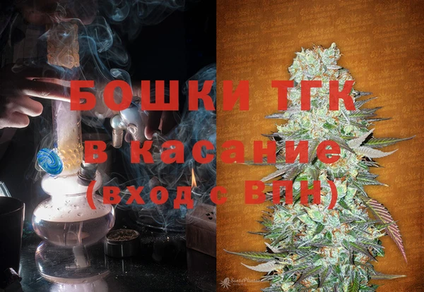 индика Алексеевка