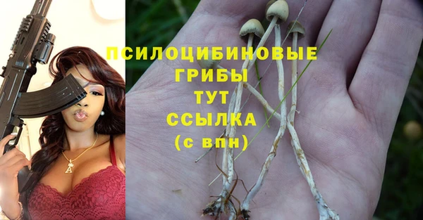 герыч Алексин